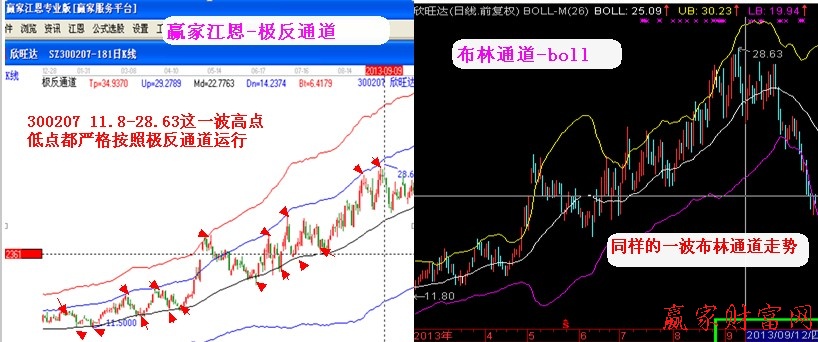 極反、布林