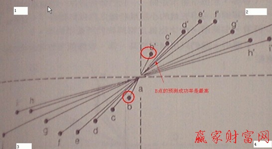 亞當理論圖片